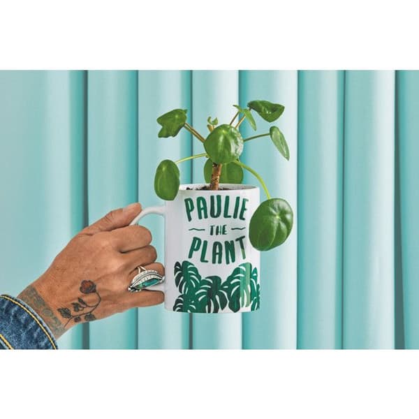 Mugg att anpassa - CRICUT - 340 ml - Paket med 36 - Färg Vit - Unisex