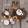 Miniatyrbild 2 av 3: Kottar av ekollon - Rayher - Assortiment 27 bitar - Flerfärgad - Trä - 2-4 cm