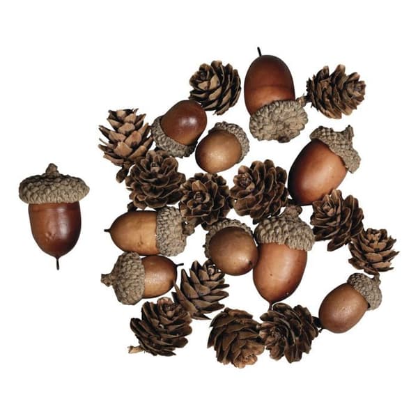 Kottar av ekollon - Rayher - Assortiment 27 bitar - Flerfärgad - Trä - 2-4 cm
