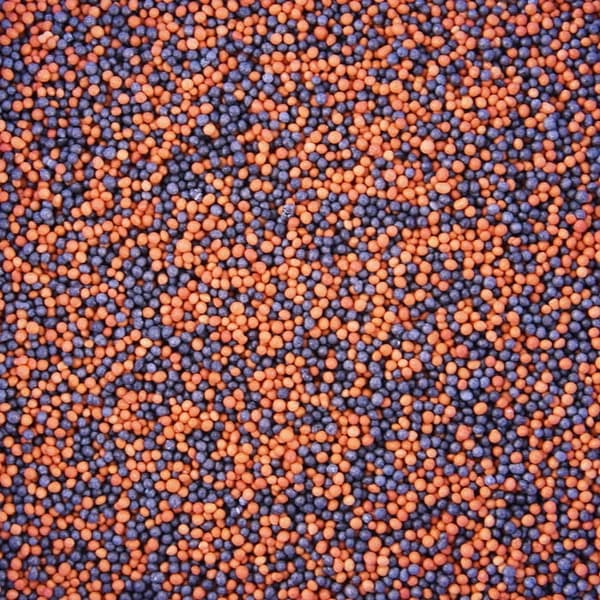 Sockervallmo ORANGE-SVART Strössel 50 g