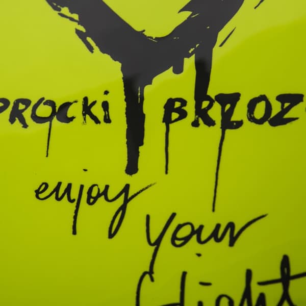 Liten kabin resväska Wings x Paprocki Brzozowski GOLDCREST - 18"" GRÖN