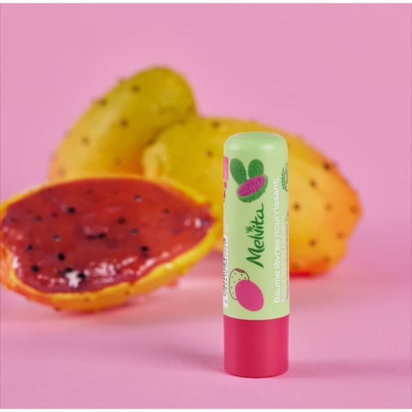Läppbalsam Melvita ACEITE DE HIGO CHUMBO