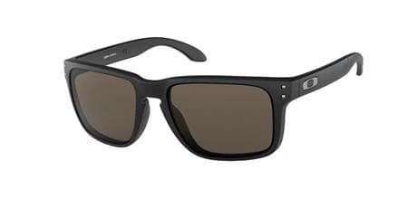Solglasögon Oakley Holbrook XL