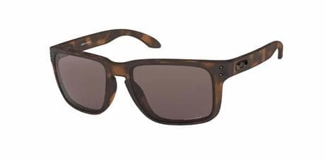 Solglasögon Oakley Holbrook XL