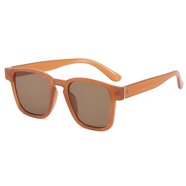 Brune retro-inspirerte solbriller for menn