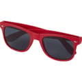Pikkukuva 5 / 5: Unisex Adult Sun Ray Sunglasses