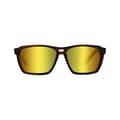 Pikkukuva 3 / 4: Westin W6 Street 150 Matte Brown Stripe - LB Brown LM Yellow AR Green