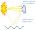 Miniatyrbilde 5 av 7: Urbanium Terra Polarising Bifocal Plus 3.0