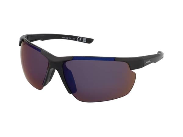 Sunglasses Alpina Defey HR Black
