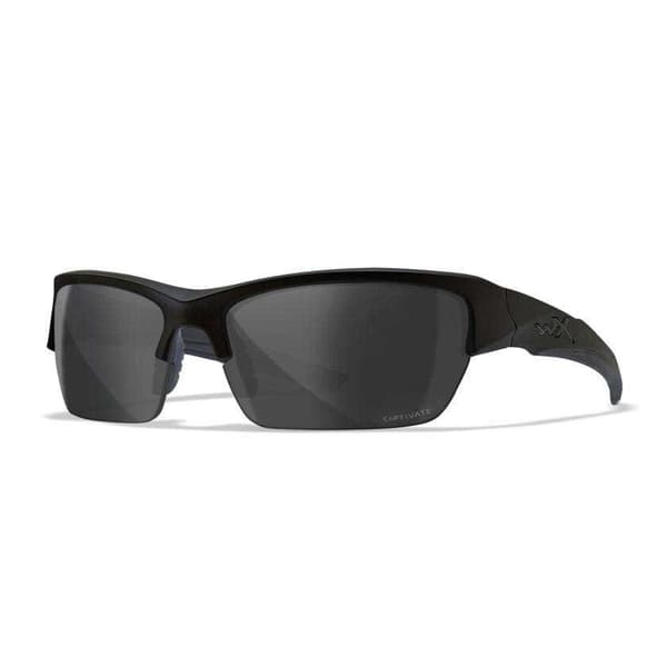 Wiley X Polariserade Solglasögon Valor 2.5 Durchsichtig  Man