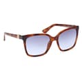Miniatyrbillede 7 af 8: Guess Solbriller Gu7865 Brun  Mand