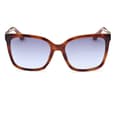 Miniatyrbillede 8 af 8: Guess Solbriller Gu7865 Brun  Mand