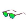 Miniatyrbillede 1 af 3: Paloalto Solbriller Laguna Beach Brun Green Revo/CAT3