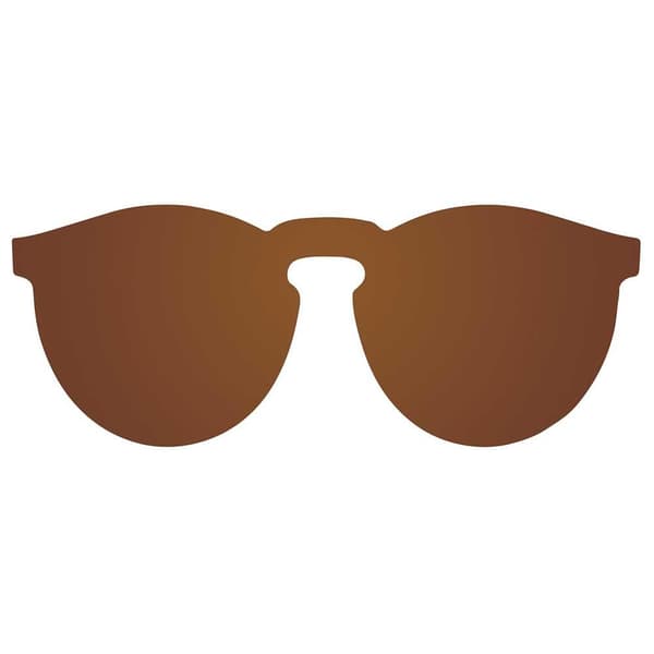 Ocean Sunglasses Solbriller Berlin Brun Metal Gold Temple/CAT3 Mand