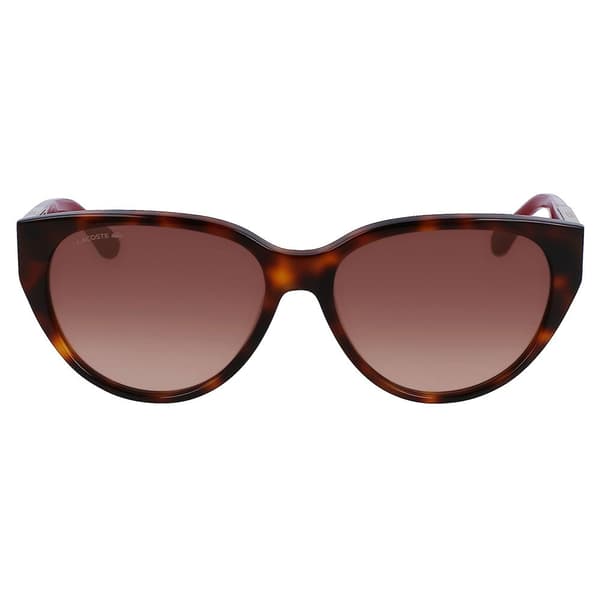 Lacoste Aurinkolasit 985s Ruskea Tortoise Mies