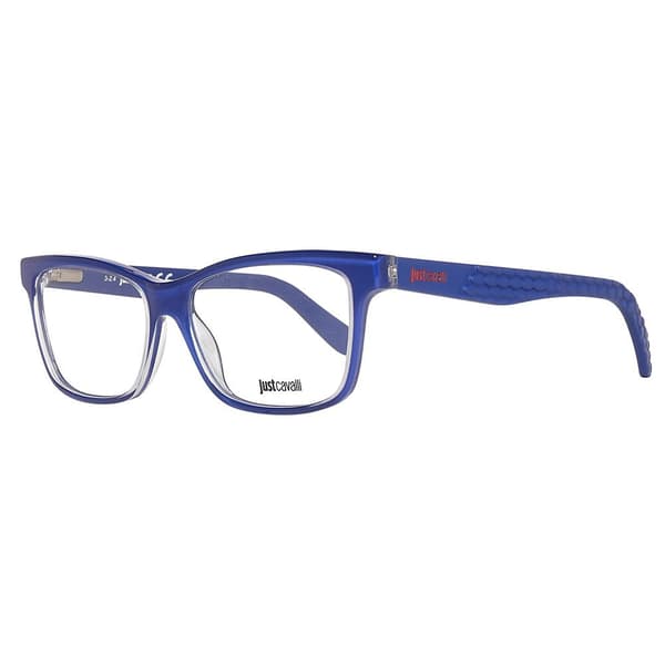 Just Cavalli Lasit Jc0642-090-53 Sininen  Mies