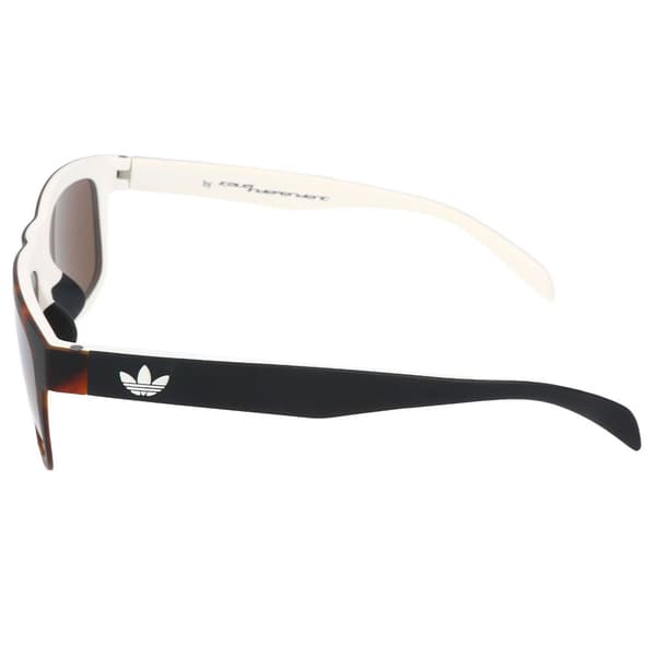 Adidas Solglasögon Aor005-148001 Brun  Man
