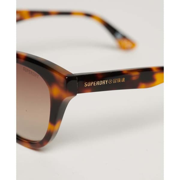Superdry Solglasögon Britanny Brun Man