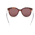 Pikkukuva 3 / 7: Skechers Se00024 Polarisoidut Aurinkolasit Kultainen Smoke Polarized Mies
