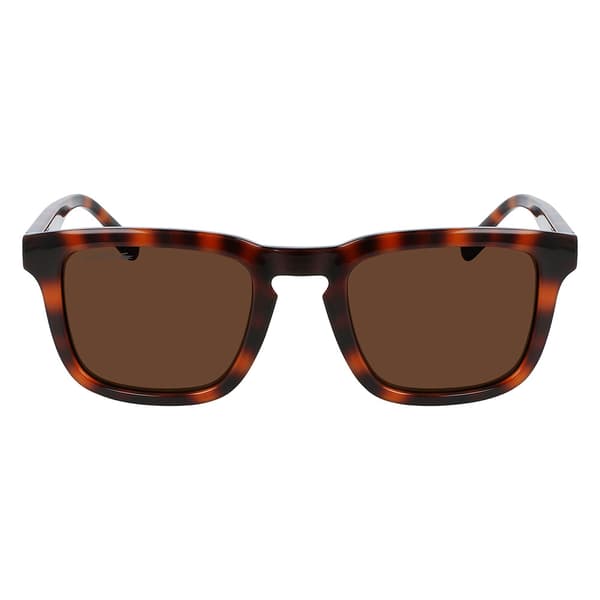 Lacoste L951srg Solbriller Brun  Mand