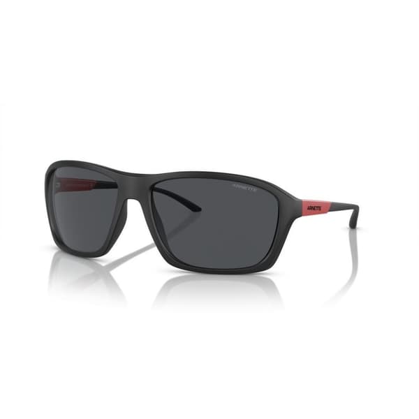 Herrsolglasögon Arnette NITEWISH AN 4329