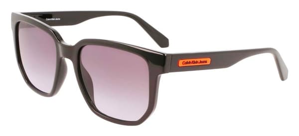 Men's Sunglasses Calvin Klein CKJ22611S
