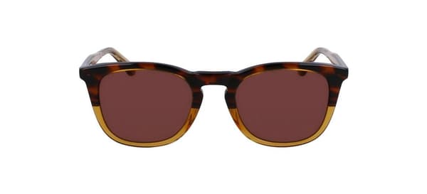 Ladies' Sunglasses Calvin Klein CK23501S