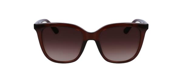 Ladies' Sunglasses Calvin Klein CK23506S