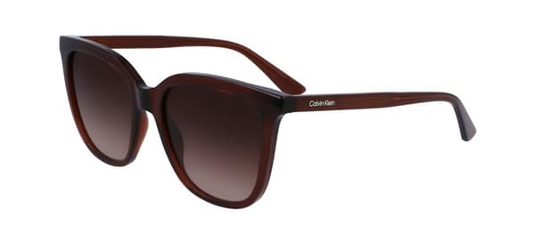 Ladies' Sunglasses Calvin Klein CK23506S