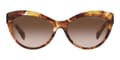Miniatyrbilde 2 av 2: Ladies' Sunglasses Ralph Lauren RL 8213