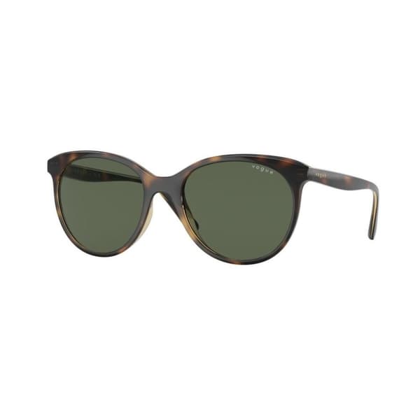 Herrsolglasögon Vogue VO 5453S
