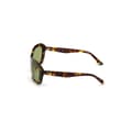 Pikkukuva 2 / 3: Naisten aurinkolasit Web Eyewear WE0289-5652N ø 56 mm