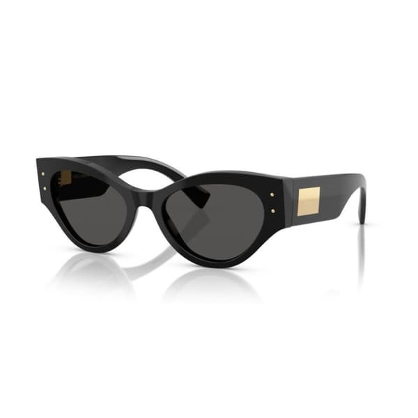 Solbriller til kvinder Dolce & Gabbana DG 4480
