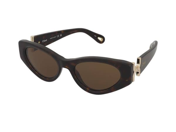 Sunglasses Chloe CH0259S 002