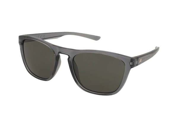 Sunglasses Alpina Gleam Grey Transparent Gloss/Green