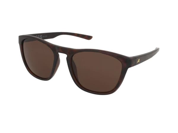 Sunglasses Alpina Gleam Havana Gloss/Brown