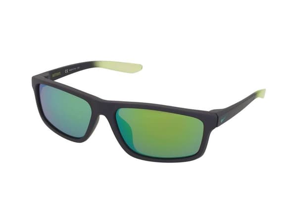 Sunglasses Nike Chronicle M CW4654 015