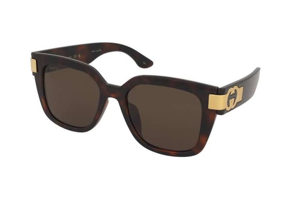 Sunglasses Gucci GG1690SK 002