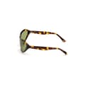 Miniatyrbild 2 av 3: Damsolglasögon Web Eyewear WE0288-6052N ø 60 mm