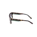 Miniatyrbild 4 av 4: Solglasögon - TIMBERLAND - TB9342 - 53R blond havana - Bruna glas - Acetat