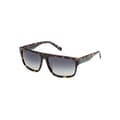 Miniatyrbild 1 av 4: Solglasögon - TIMBERLAND - TB9342 - 53R blond havana - Bruna glas - Acetat