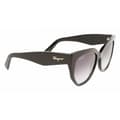 Miniatyrbillede 3 af 3: Solbriller til kvinder Salvatore Ferragamo SF1061S-001 ø 56 mm