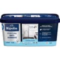 Pikkukuva 2 / 6: RIPOLIN Paint kosteudenestomaali 2,5 l