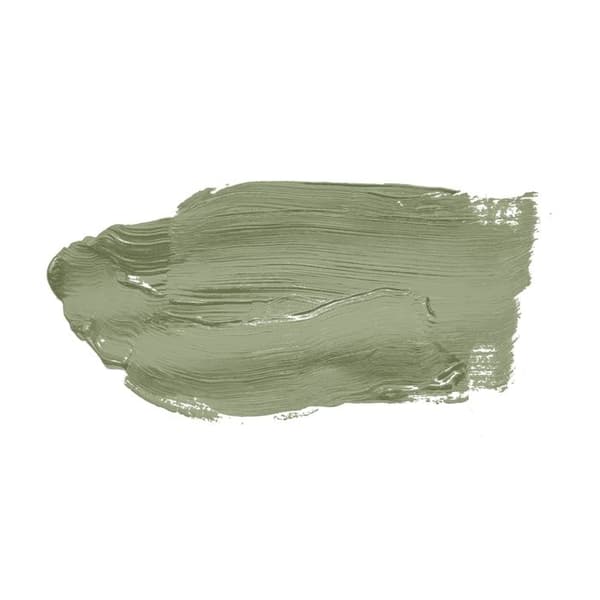 Matgrön väggfärg The Color Kitchen Balmy Basil Dispersion exklusiv för inomhusbruk Hög intensitet 5 liter