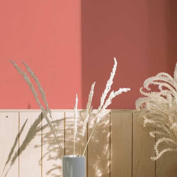 Rosa väggfärg PURO Coral Pink Inomhusdispersion exklusiv Hög intensitet på 2,5 liter