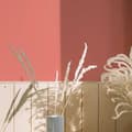 Miniatyrbild 4 av 5: Rosa väggfärg PURO Coral Pink Inomhusdispersion exklusiv Hög intensitet på 2,5 liter