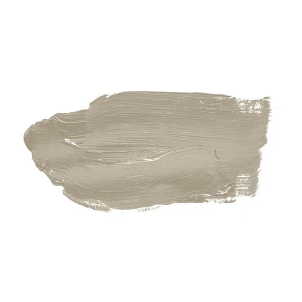 Väggfärg i matt taupe The Color Kitchen Pumpafrö Dispersion exklusiv för inomhusbruk Högt täckande 2,5 liter