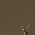 Miniatyrbild 4 av 5: Brun väggfärg PURO Subtle Brown Inomhusdispersion exklusiv Hög intensitet 1 liter