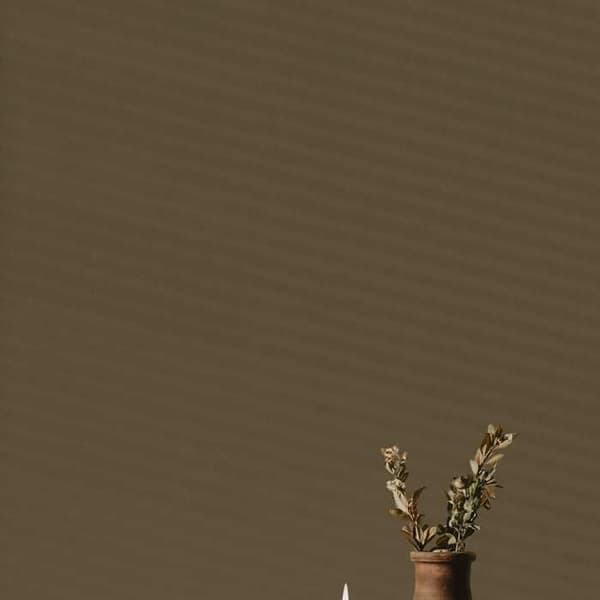 Brun väggmålning PURO Subtle Brown Inomhusdispersion exklusiv Hög intensitet på 5 liter