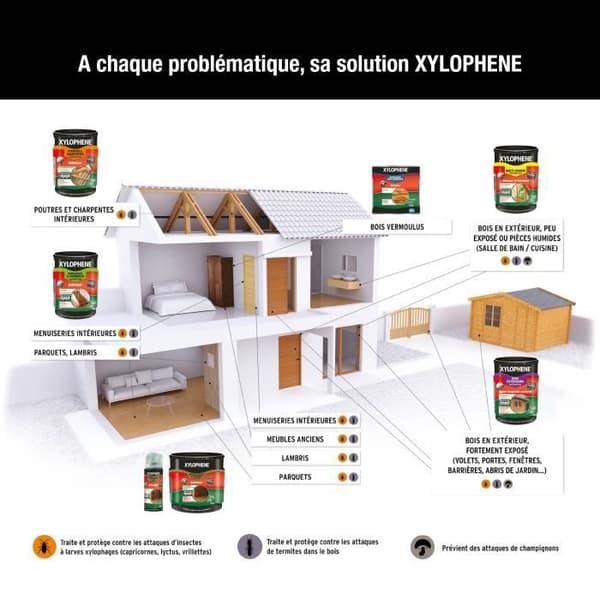 Behandling av balk och ram - XYLOPHENE - 5 L